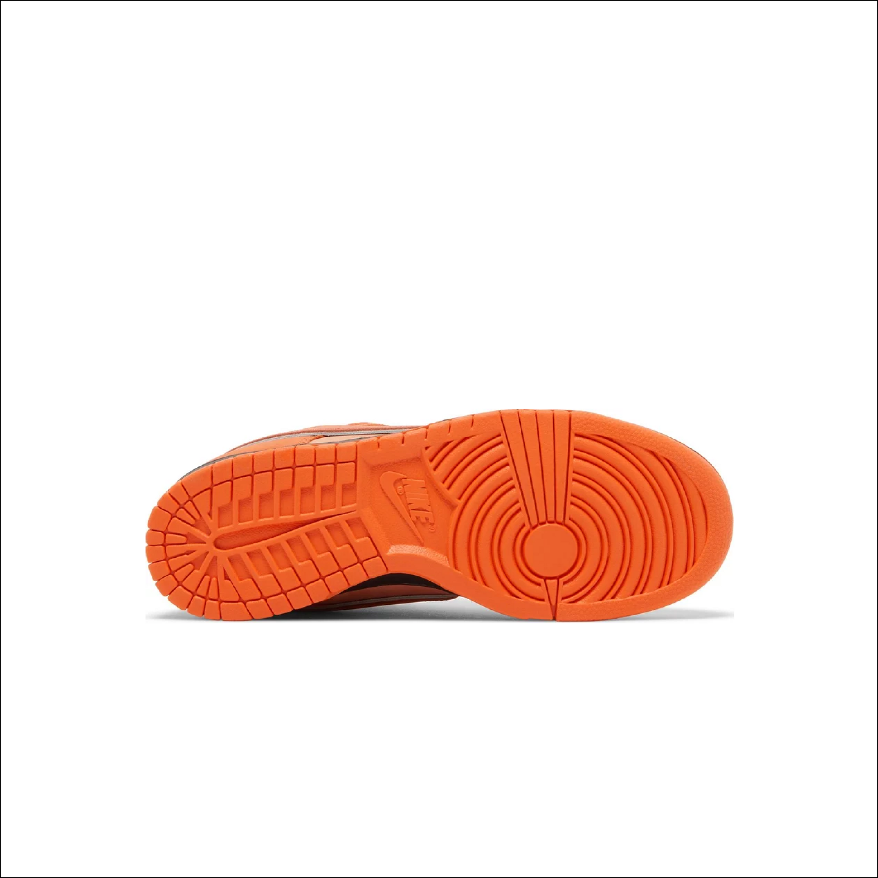 Nike SB Dunk Low Concepts Orange Lobster